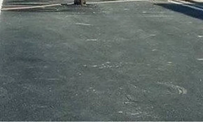Απίστευτη εικόνα στο Μεσολόγγι: Δεν φαντάζεστε τι εμφανίστηκε στη μέση του δρόμου! (εικόνα)